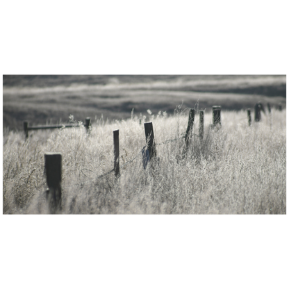 A horizontal landscape photograph of a rustic wooden fence in a field of dry, frosty grass, rendered in a monochrome sepia-toned palette.
