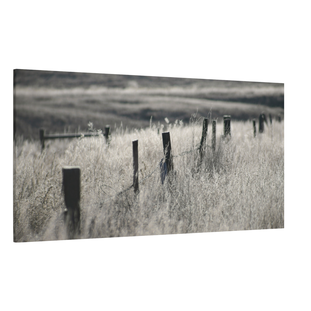 Weathered Fence Line at Dawn Canvas Wall Art