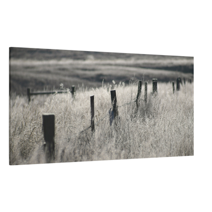 Weathered Fence Line at Dawn Canvas Wall Art