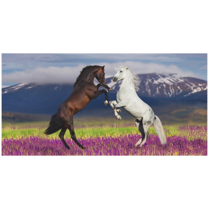 Rearing Horses Canvas Wall Art