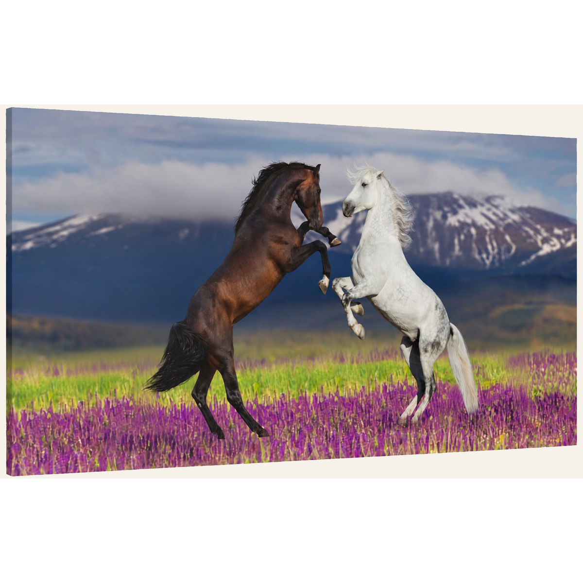 Rearing Horses Canvas Wall Art
