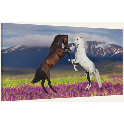 Rearing Horses Canvas Wall Art